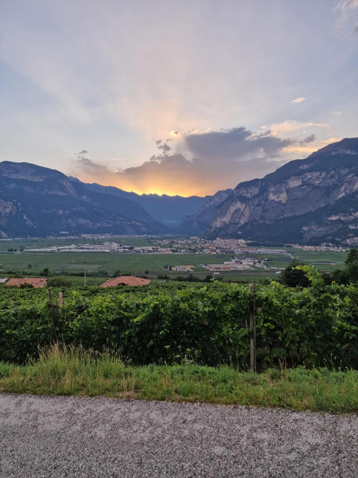 Hotel Garni La Vigna - Adult Friendly San Michele allʼAdige المظهر الخارجي الصورة